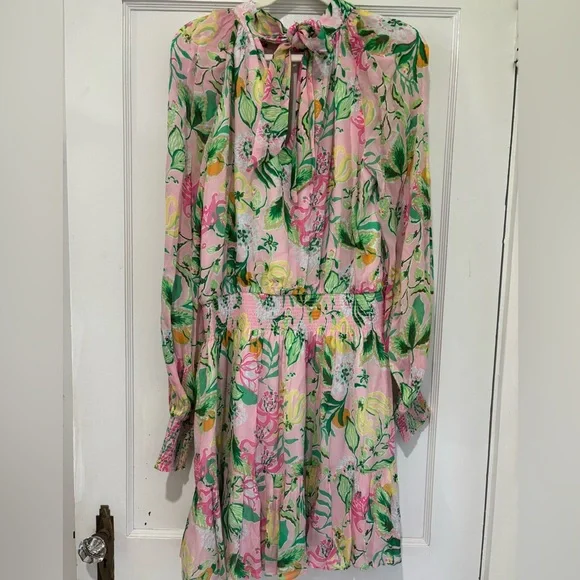 NWT Lilly Pulitzer Ellielynn Long Sleeve Dress - Picture 4 of 15